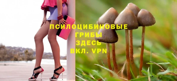 MDMA Алексеевка