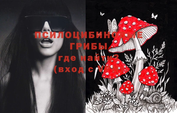 бутират Алексин